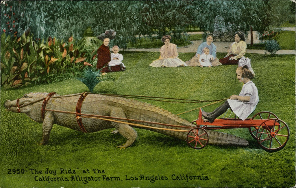 Children Joy Ride at the California Alligator Farm
