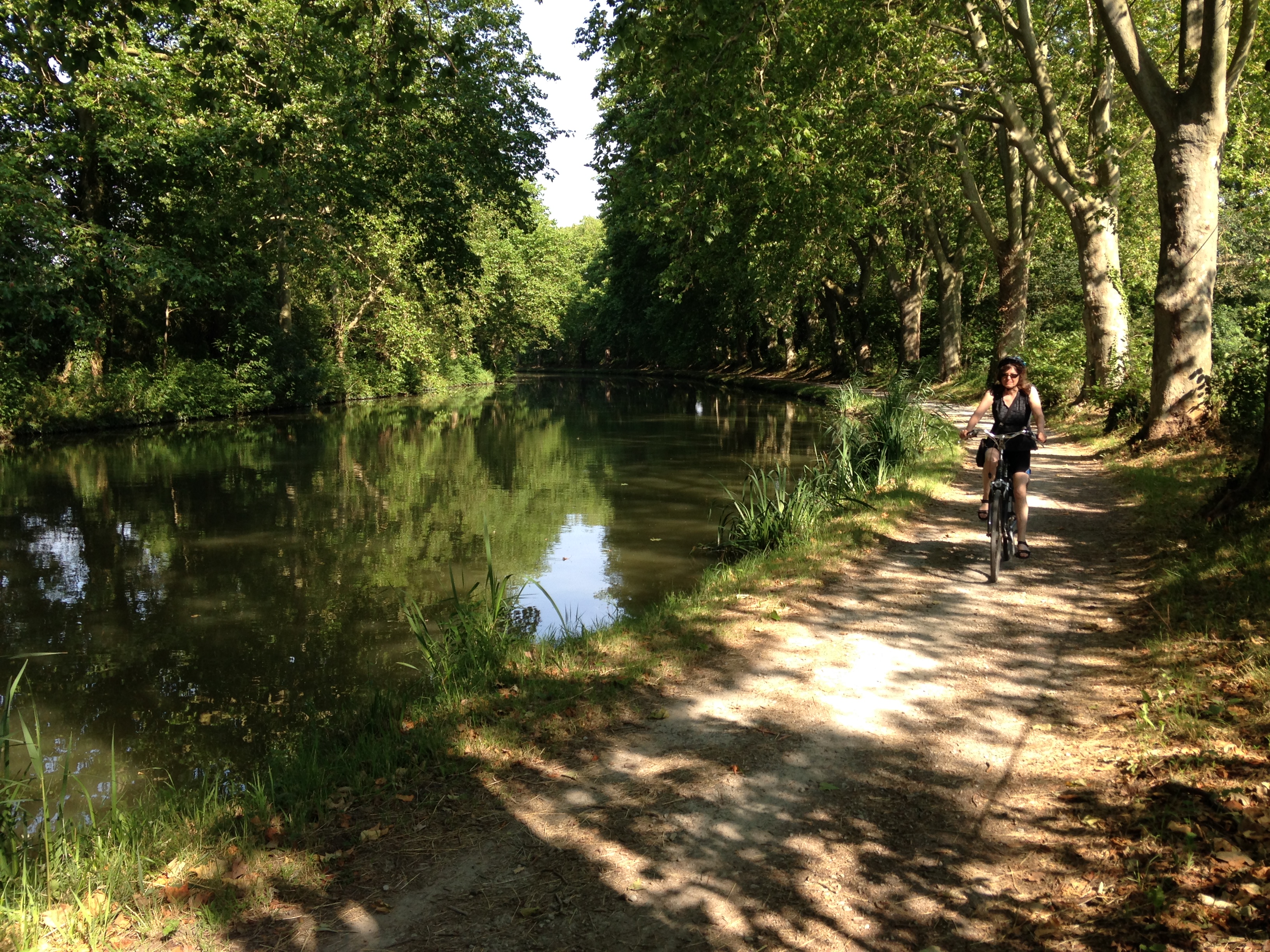 Photograph Canal du Midi: chemin de halage (2014)