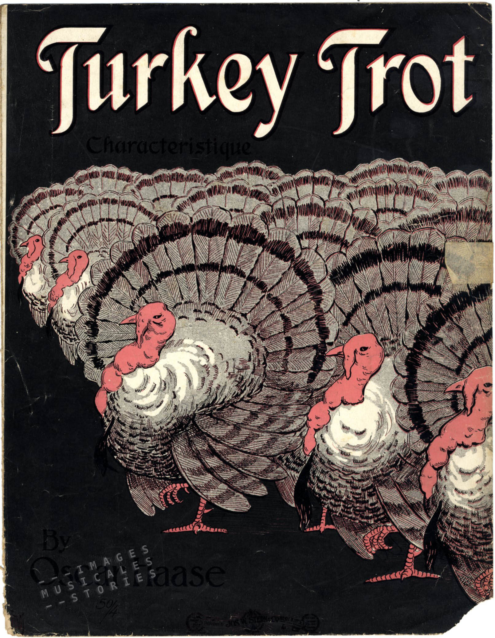 turkey trot 1