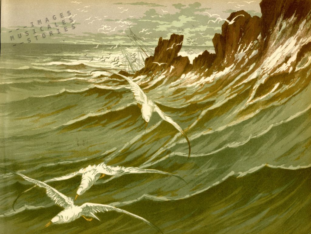 'Les Mouettes - Chanson de Mer' illustration by G. Fraipont